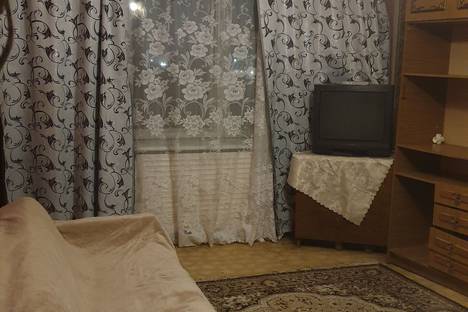 Однокомнатная квартира в аренду посуточно в Клинцах по адресу ул. Александрова, 43