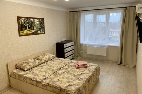 Однокомнатная квартира в аренду посуточно в Волжском по адресу пр-кт имени Ленина, 104
