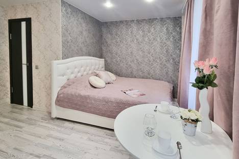 Однокомнатная квартира в аренду посуточно в Калининграде по адресу ул. Литовский Вал, 33