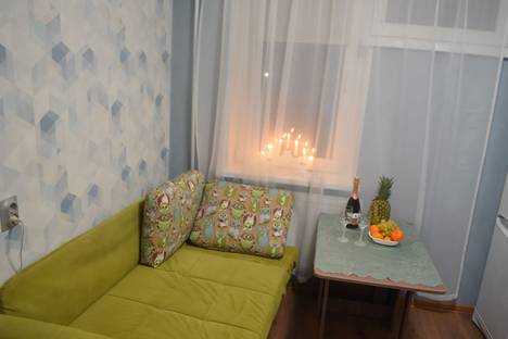 Однокомнатная квартира в аренду посуточно в Петрозаводске по адресу ул. Пархоменко, 26