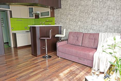 Однокомнатная квартира в аренду посуточно в Шелехове по адресу 1-й кв-л, 3В