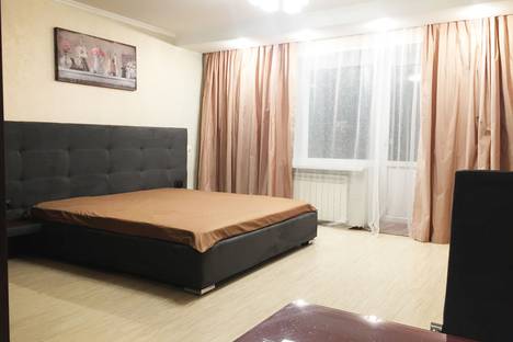 Однокомнатная квартира в аренду посуточно в Барнауле по адресу ул. Чкалова, 21