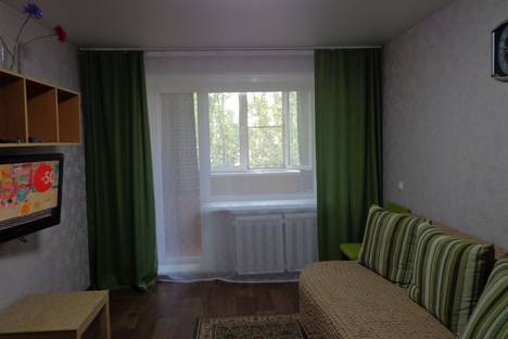 1-комнатная квартира в Нижнем Новгороде, Нижний Новгород, Южное шоссе, 2