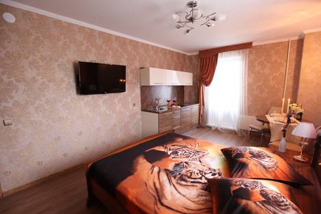 1-комнатная квартира в Тольятти, Революционная 11Б
