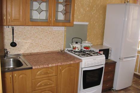 Однокомнатная квартира в аренду посуточно в Камышине по адресу Базарова, 144