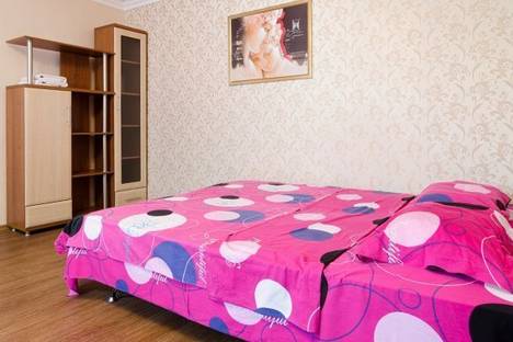 Однокомнатная квартира в аренду посуточно в Донецке по адресу Дзержинского 4