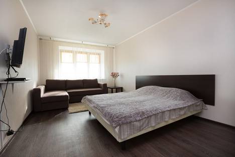 1-комнатная квартира в Екатеринбурге, ул. Белинского, 137, м. Чкаловская